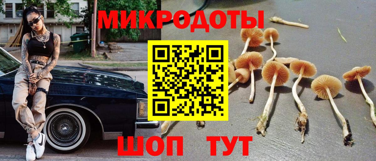 Галлюциногенные грибы прущие грибы  где продают   Кингисепп  Вход с VPN 
